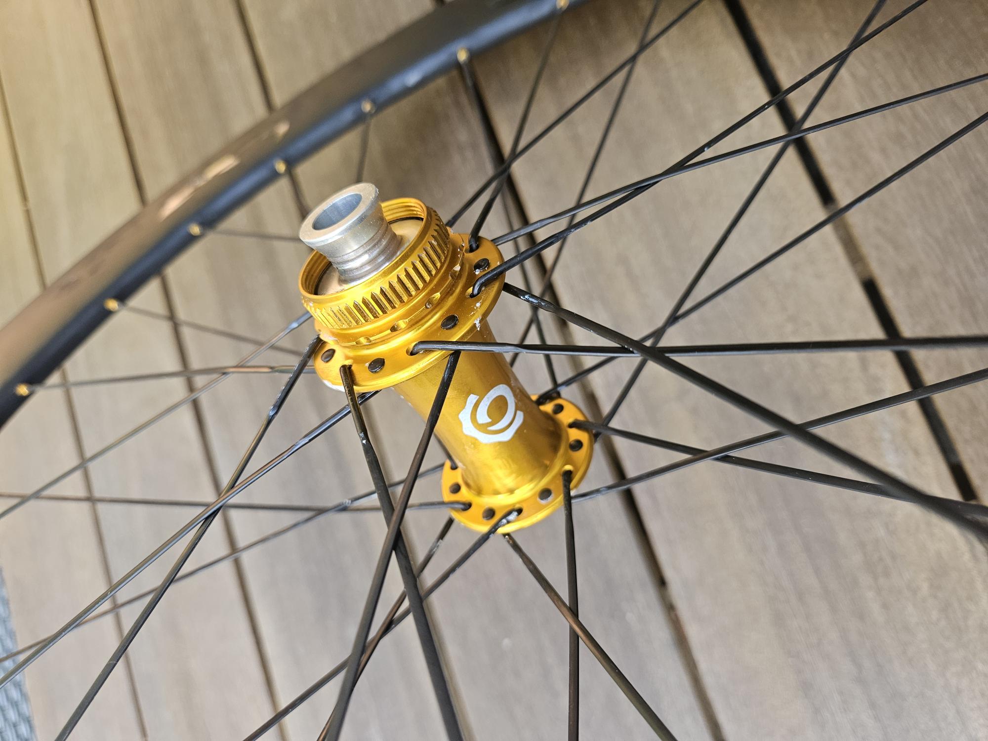 Carolina 6.0 and Gold Industry 9 Torch with Sapim CX Xray Spokes (image for) Carolina 6.0 and Gold Industry 9 Torch with Sapim CX Xray Spokes